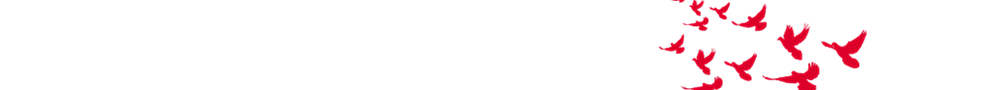 1598494090143839.png 未命名_副本.png